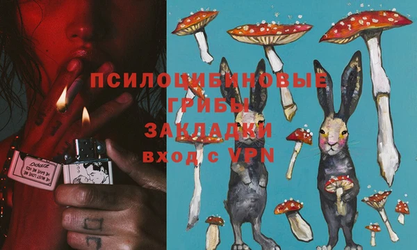 хмурый Алзамай