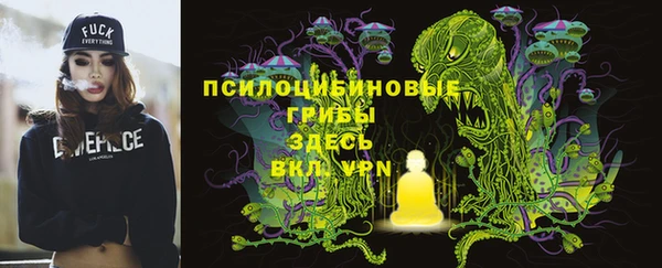 прущая мука Абаза